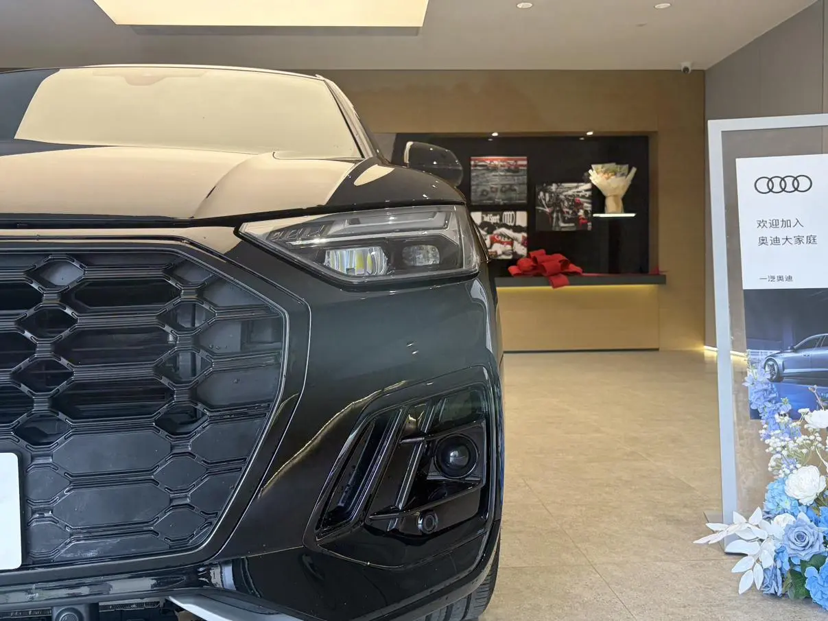 Audi Audi Q5L 40TFSI luxury dynamic type
