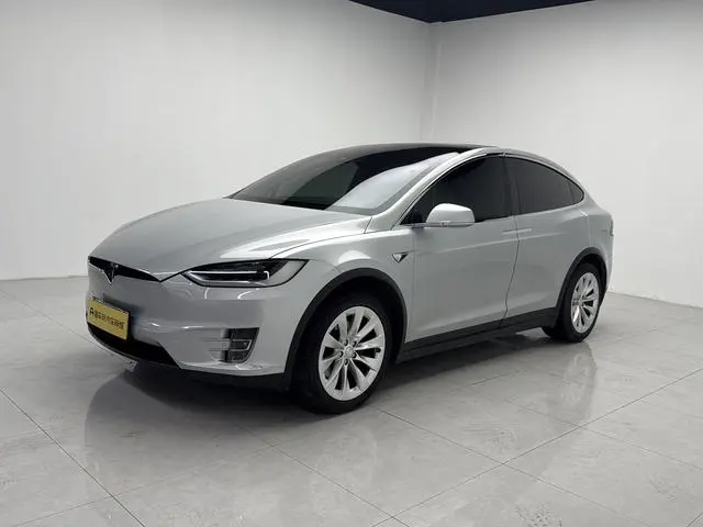 Tesla Model X 100D long battery life version