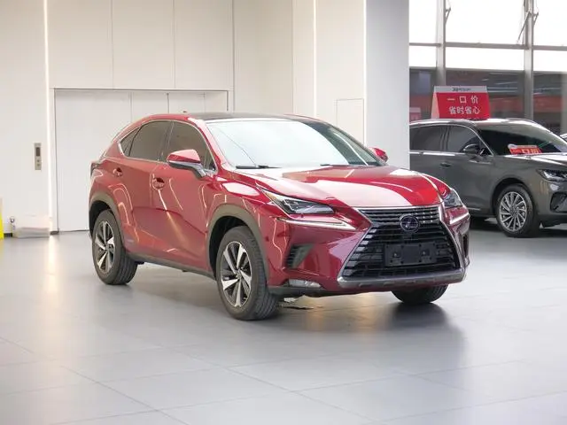 Lexus Lexus NX 300h full drive Fengzhi edition country VI