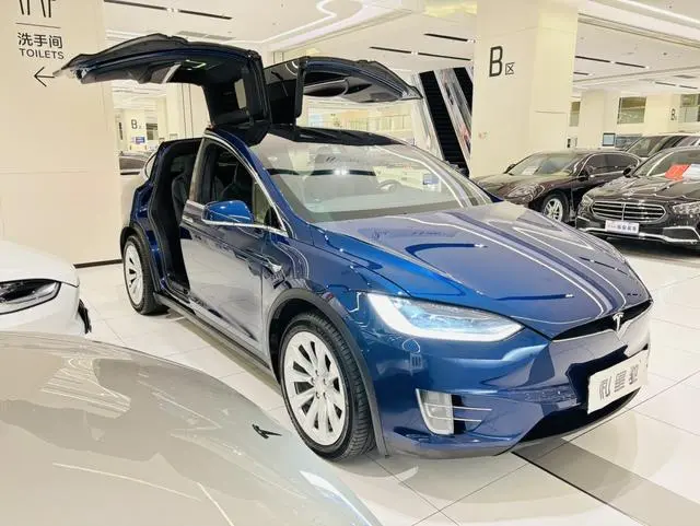 Tesla Model X 100D long battery life version