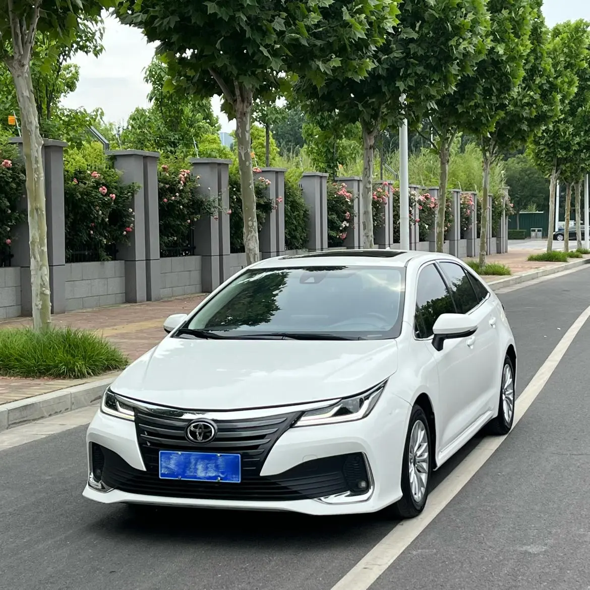 TOYOTA Asian lion 2.0L Deluxe Edition