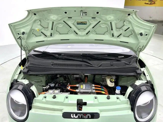 Changan Qiyuan Changan Lumin 155km sweet style