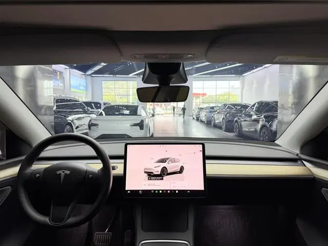 Tesla Model Y Long battery life all-wheel drive version