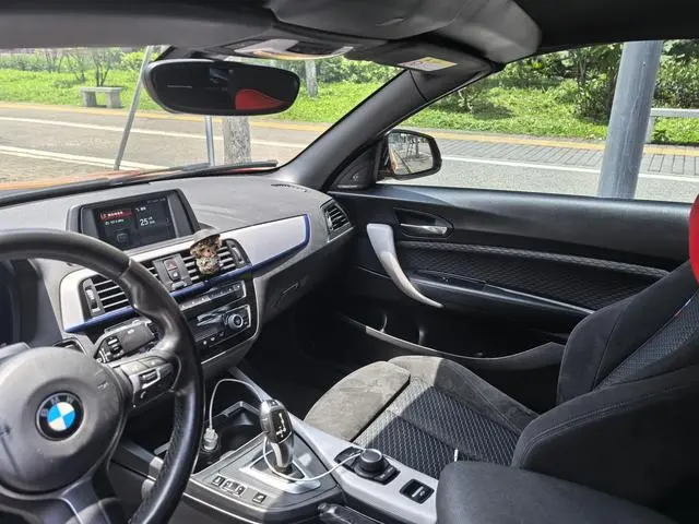 BMW BMW 2 Series (imported) 225i Convertible coupe M sports suit