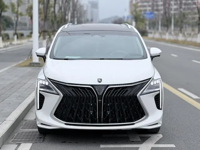 Dongfeng Fengxing Popular yachts 1.5T DCT Wave by Wave version