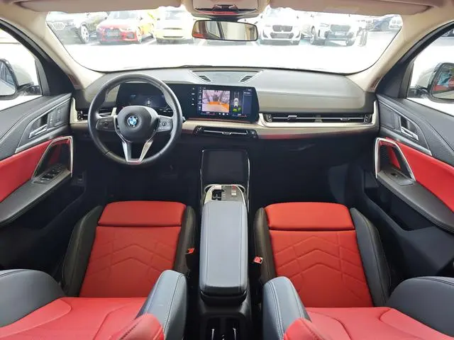 BMW BMW X2 (imported) sDrive25i M sports suit