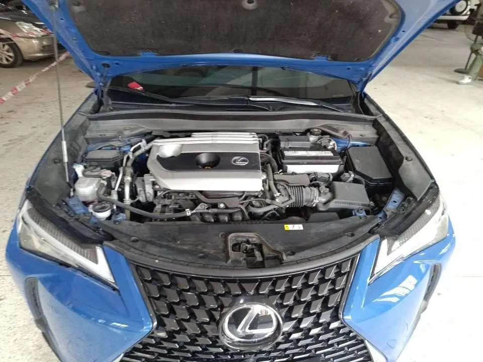 Lexus Lexus UX 200 Special Edition