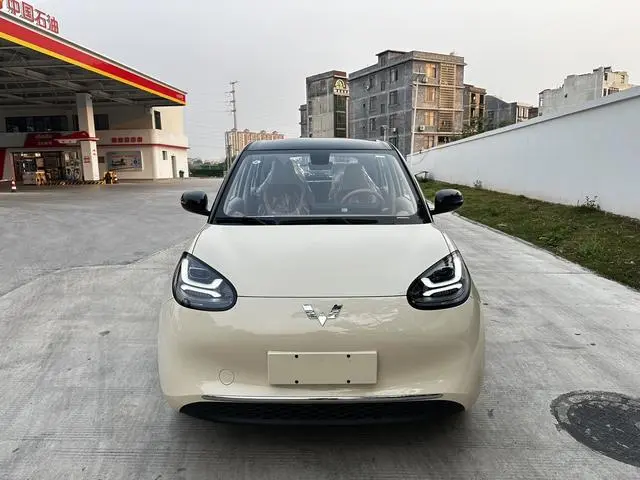 Wuling Wuling Bingguo 333KM Yuexiang model