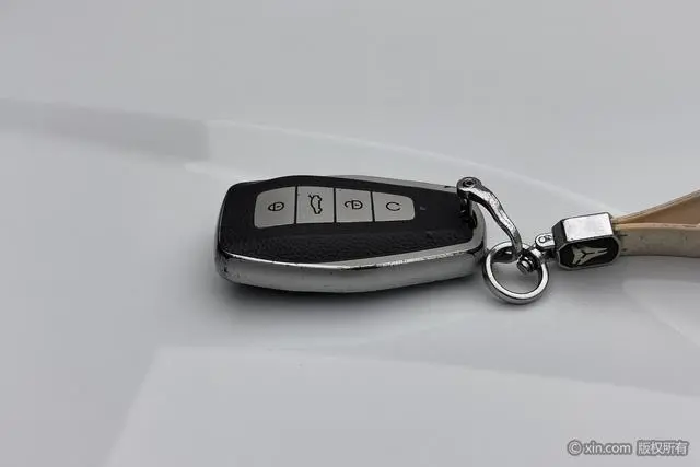 Geometry Geely Geometry E Firefly 401KM Linglong Tiger
