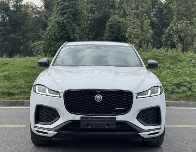 Jaguar Jaguar F-PACE P250 R-Dynamic SE