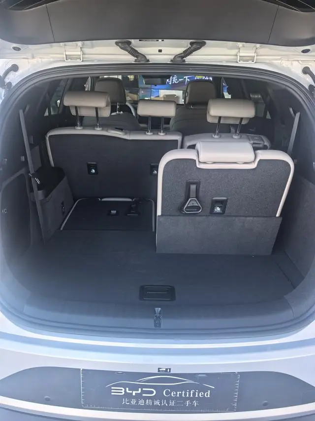 BYD Tang DM Smart driving version DM-i 115KM flagship model