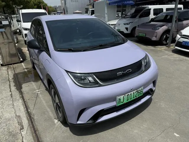 BYD dolphin Fashion edition