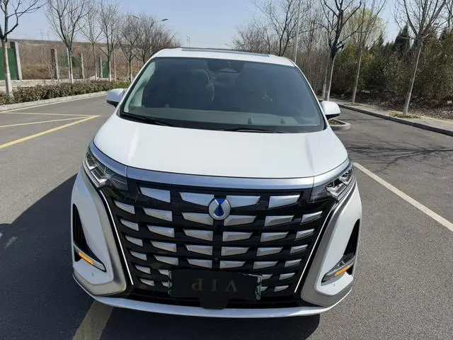 Denza Denza D9 DM 970 four-wheel drive flagship