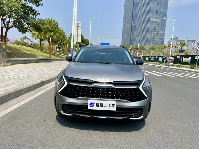 Kia Lion Platinum expands the world 2.0T two-wheel drive ultimate edition