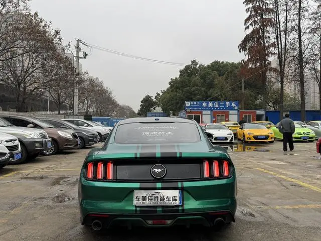 Ford Mustang 2.3T Performance Version
