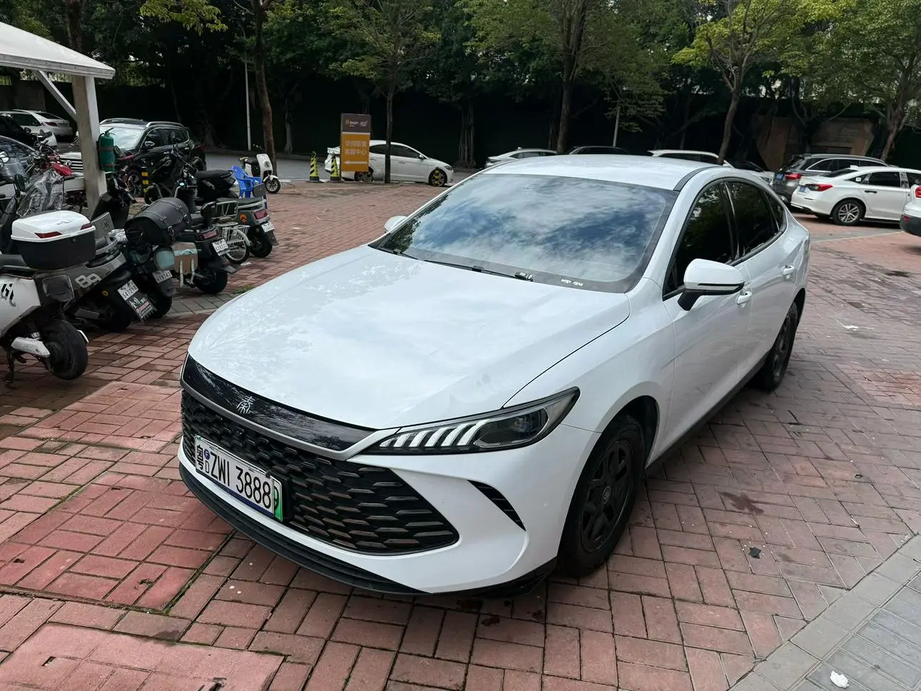 BYD Qin PLUS DM Smart driving version DM-i 55KM leading type