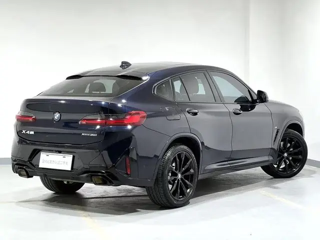BMW BMW X4 xDrive 30i M Sports Yao Ye Set