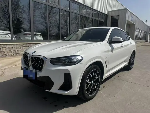 BMW BMW X4 xDrive 25i M sports suit
