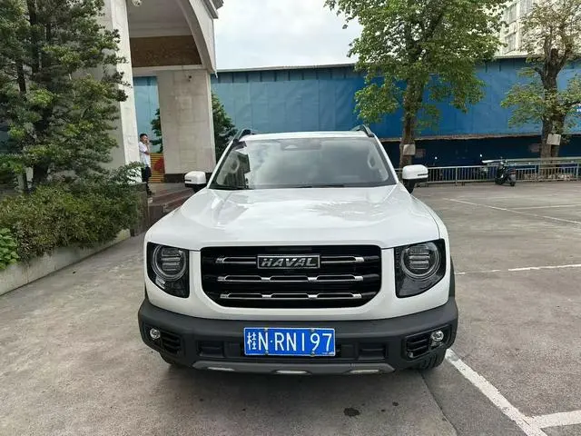 Haval Haval Big Dog 2.0T two-wheel drive Chinese Hound Version