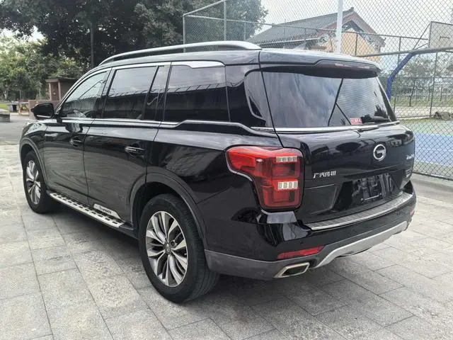 GAC Trumpchi GS8 320T two-wheel drive luxury Zhilian Edition 7 seats