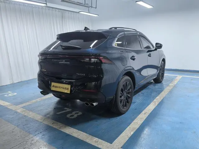 Dongfeng Fengxing Popular T5 EVO 1.5TD DCT Xingyao Edition