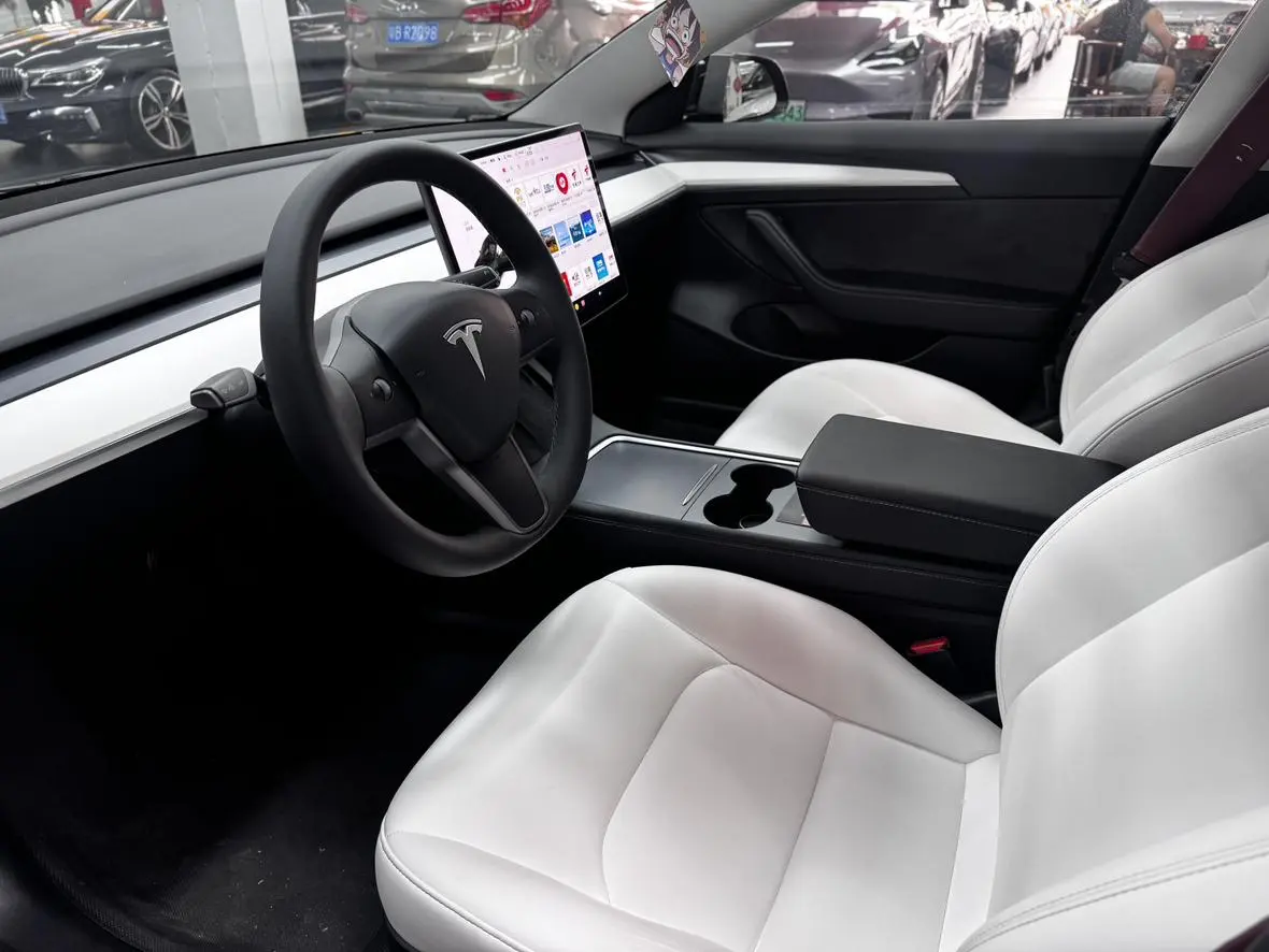 Tesla Model 3 Standard battery life rear drive upgraded version 3D6