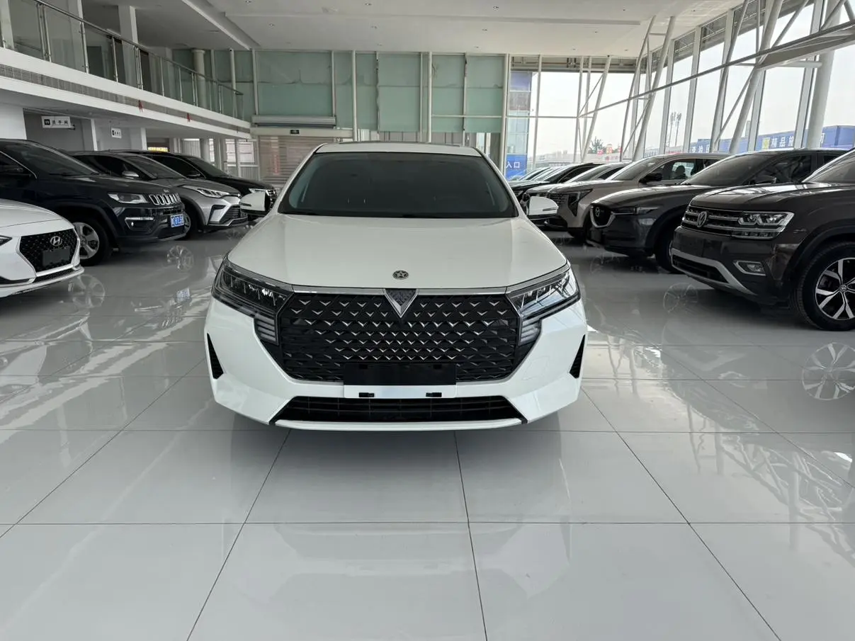 Venucia Qichen D60 PLUS 1.6L XL CVT Yue Ling Edition