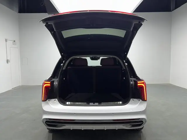 Hongqi Hongqi E-HS9 660km Qichang version six seats