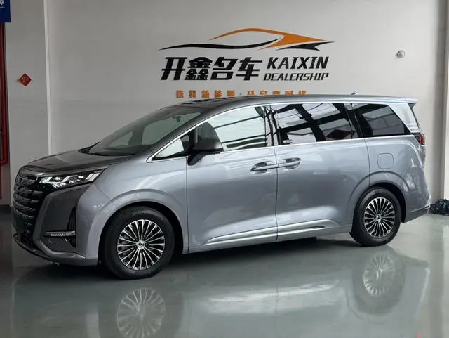 Denza Denza D9 DM 1040 Premium type