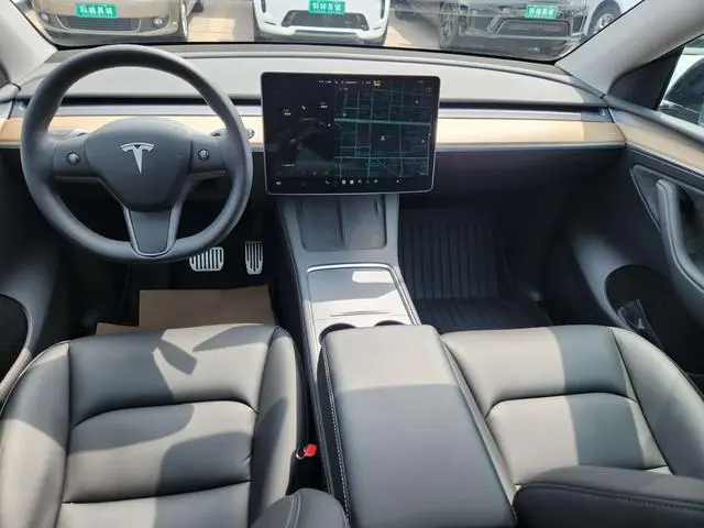 Tesla Model Y Rear-wheel drive version