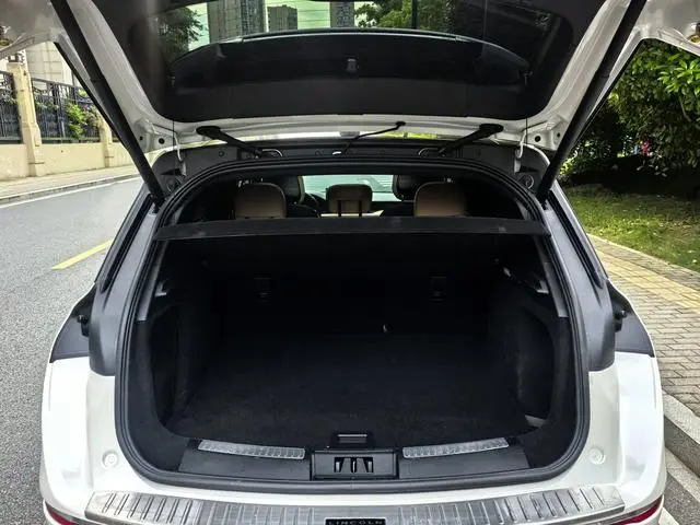 Lincoln Adventurer 2.0T two-wheel drive Zunya edition