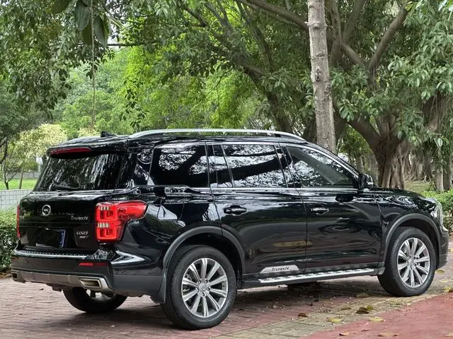GAC Trumpchi GS8 390T two-wheel drive luxury Zhilian Edition 7 seats