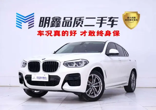 BMW BMW X4 xDrive25i M sports suit