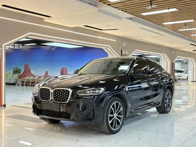 BMW BMW X4 xDrive 30i M sports suit