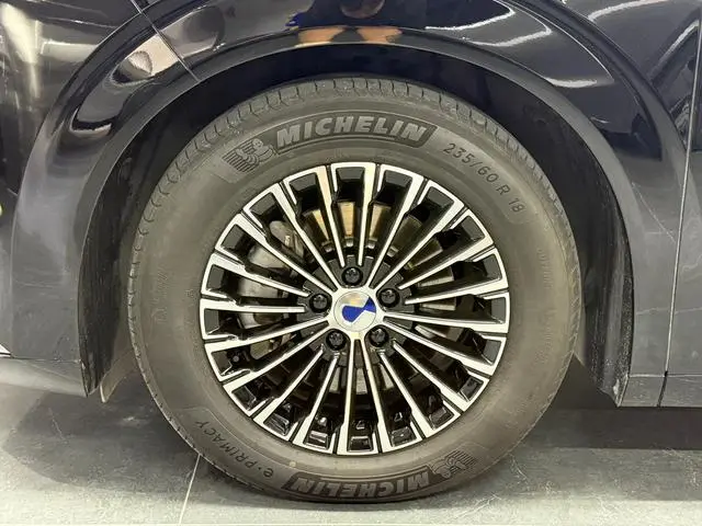 Denza Denza D9 DM 970 four-wheel drive flagship