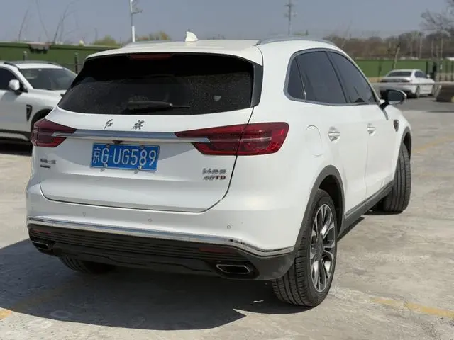 Hongqi Hongqi HS5 2.0T Zhilian Qixiang four-wheel drive version