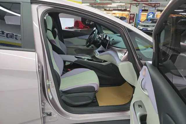BYD dolphin Fashion edition
