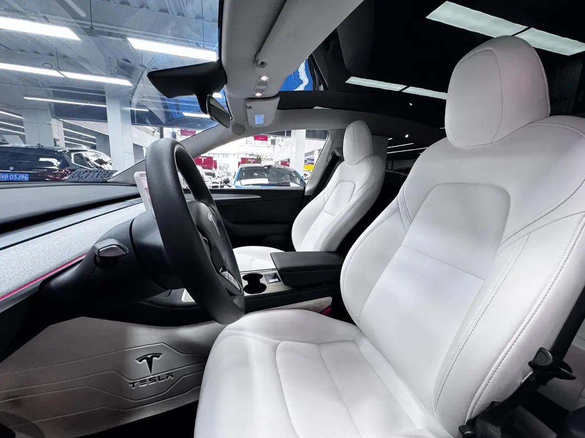 Tesla Model Y Long battery life all-wheel drive version