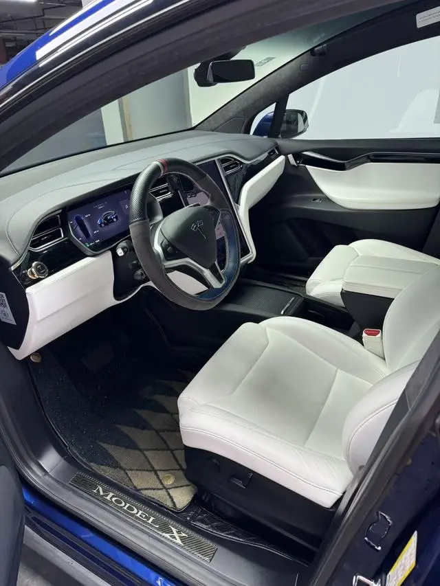 Tesla Model X 100D long battery life version