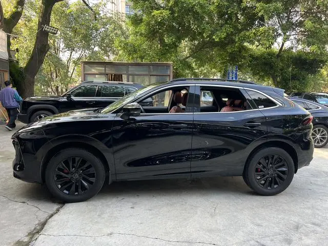 Dongfeng Fengxing Popular T5 EVO Heatwave 1.5 TD DCT Xingyao Edition