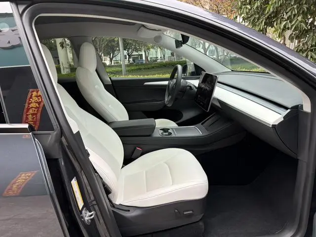 Tesla Model Y Performance high-performance all-wheel drive version