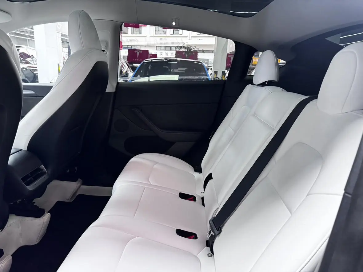 Tesla Model Y Long battery life all-wheel drive version
