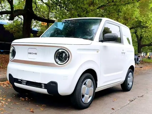 Geely Galaxy panda 120km panda mini super cute bear