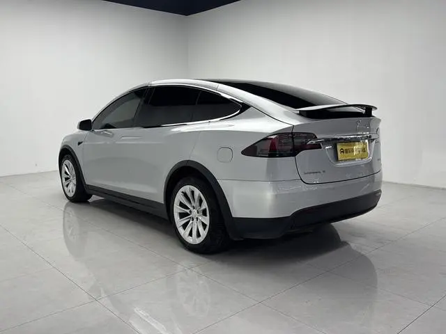 Tesla Model X 100D long battery life version