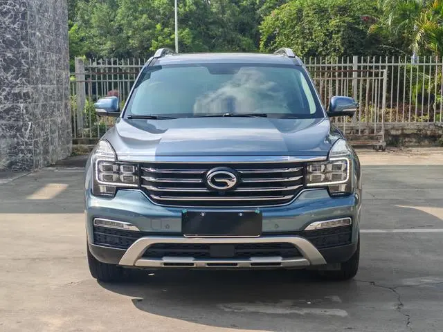 GAC Trumpchi GS8 320T two-wheel drive premium edition 7 seats