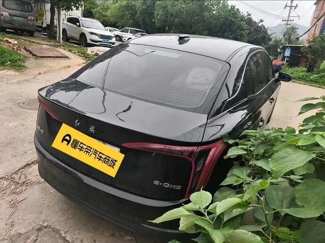 Hongqi Hongqi E-QM5 Facelift basic travel version