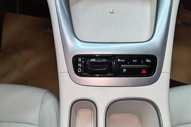 Geely Galaxy Star Wish 310km Dream Edition