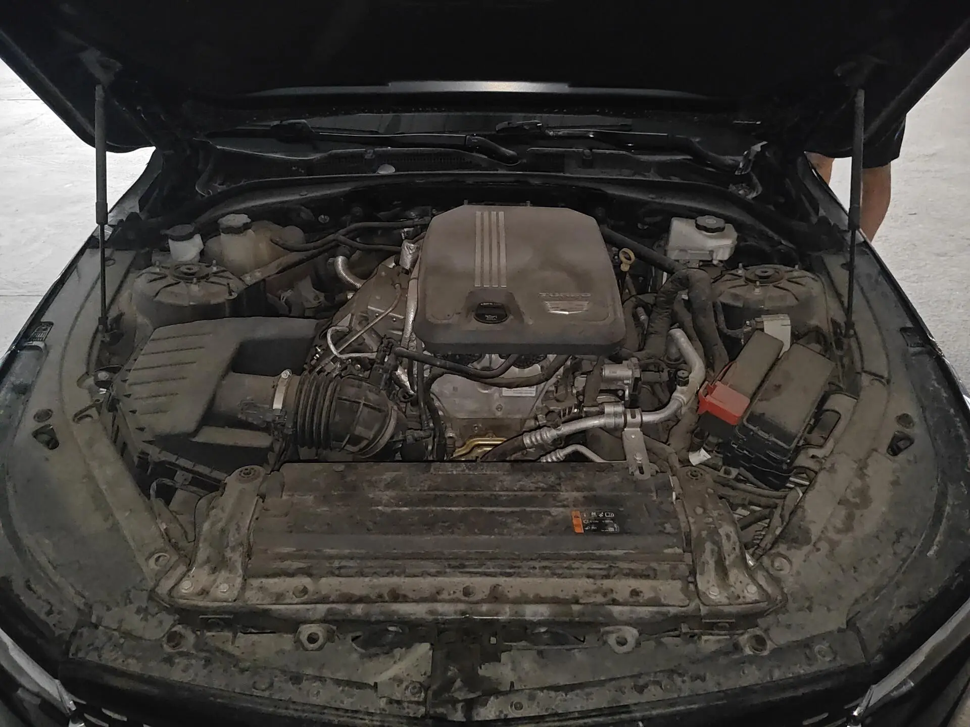 Cadillac Cadillac CT4 28T luxury