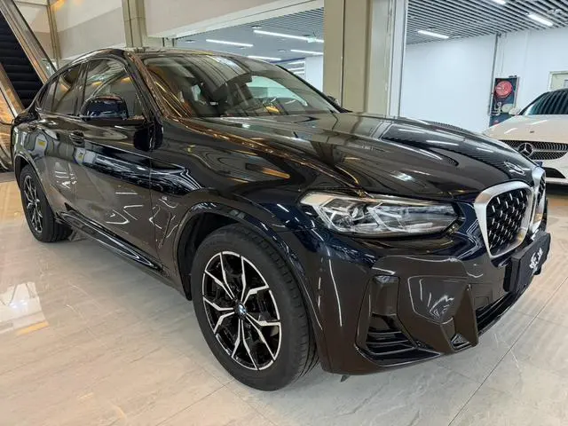 BMW BMW X4 xDrive 25i M sports suit