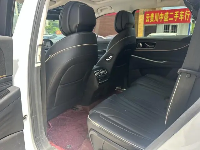 Chery Fulwin Tiggo 9 2.0T AT two-wheel drive Premium Edition 7 seats